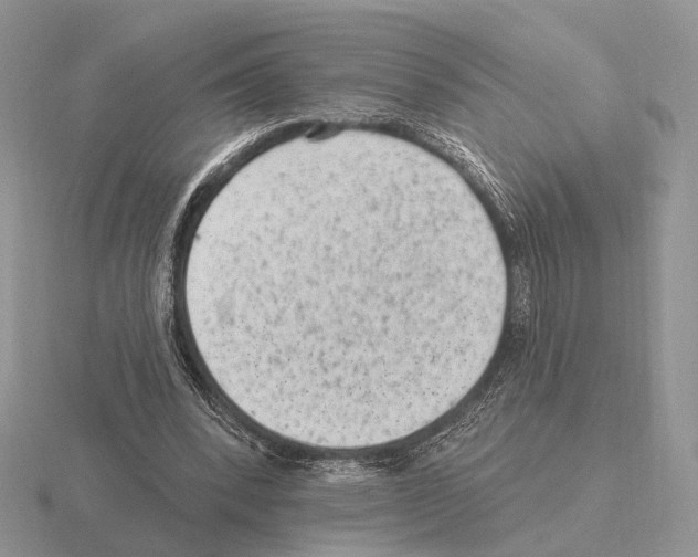 X0000115380392200912151443