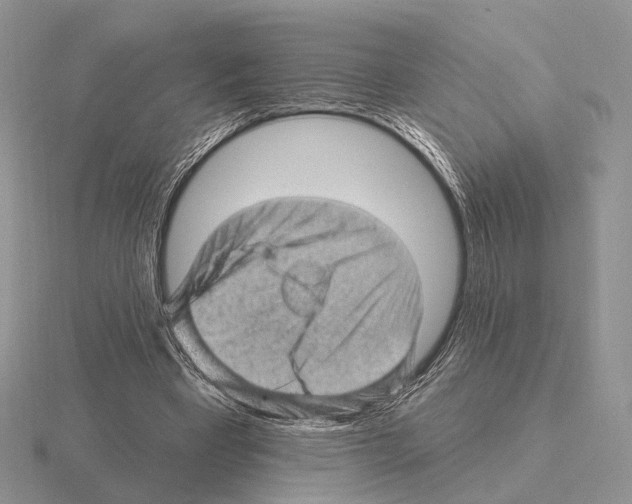 X0000115380393200912151443