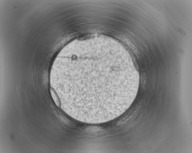 X0000115380397200912151443