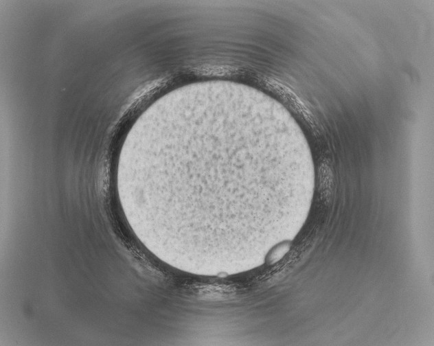 X0000115380400200912151443