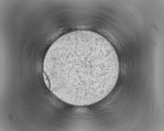 X0000115380401200912151443