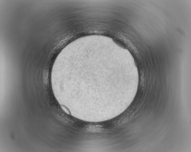 X0000115380403200912151443