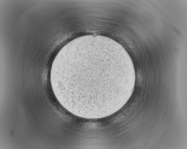 X0000115380404200912151443