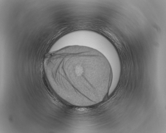 X0000115380409200912151443