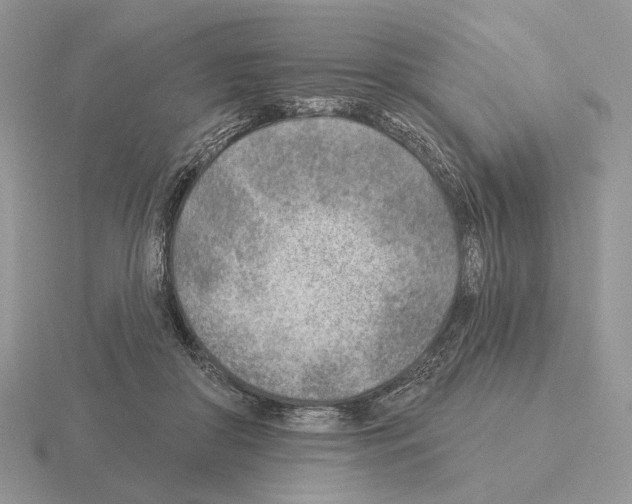 X0000115380410200912151443