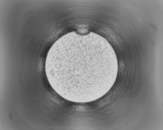 X0000115380412200912151443