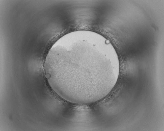 X0000115380415200912151443