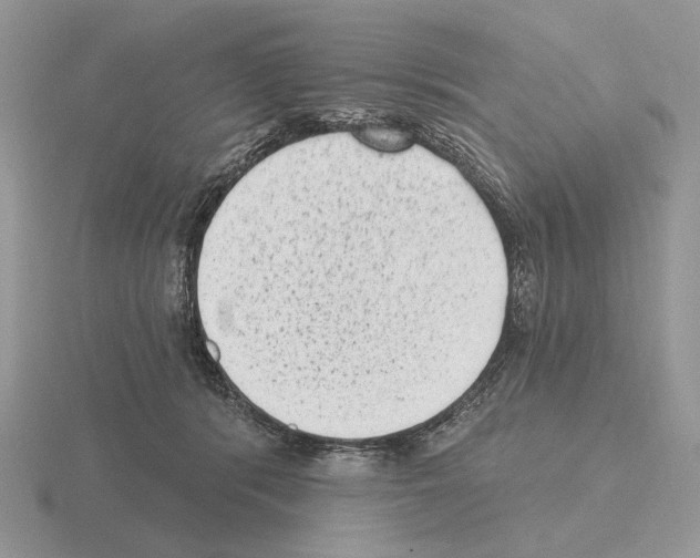 X0000115380416200912151443