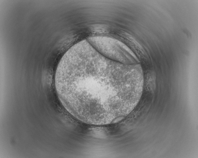 X0000115380417200912151443