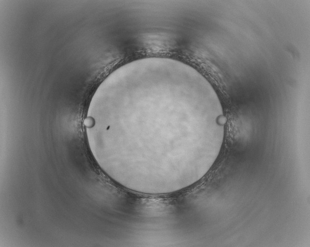 X0000115380419200912151443