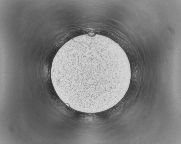 X0000115380420200912151443