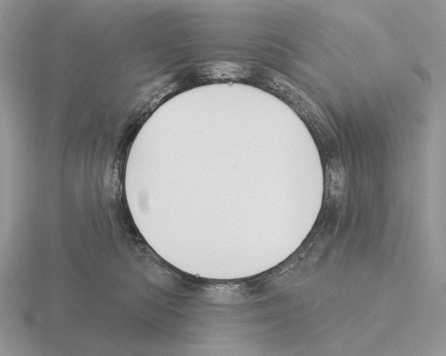 X0000115380422200912151443