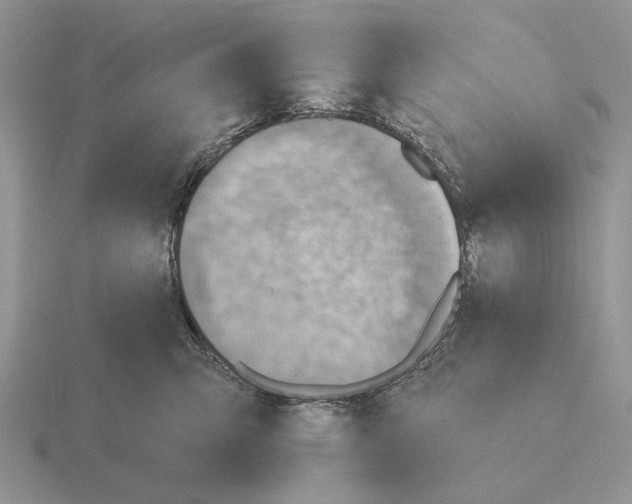 X0000115380423200912151443