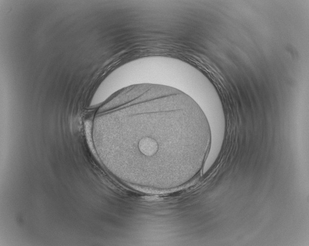 X0000115380425200912151443