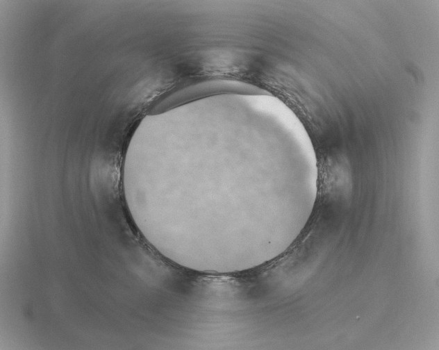 X0000115380427200912151443