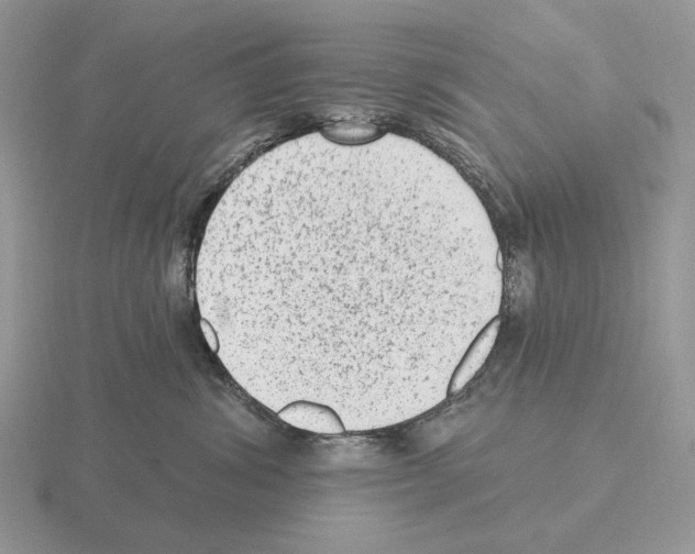 X0000115380428200912151443