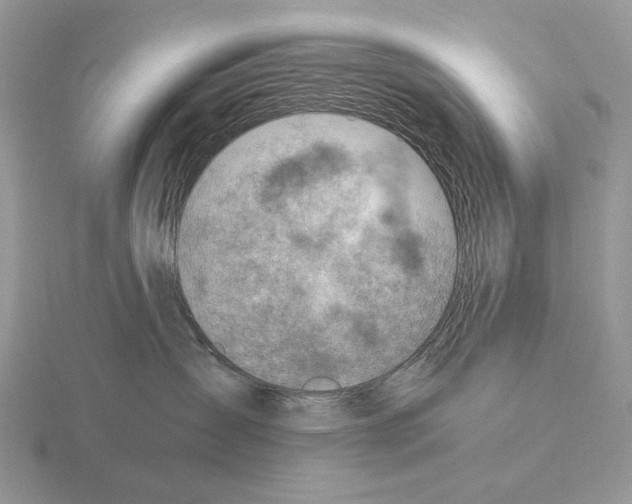 X0000115380431200912151443