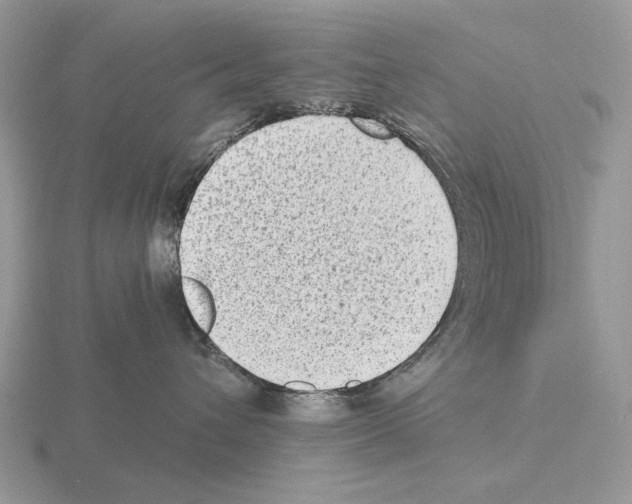 X0000115380432200912151443