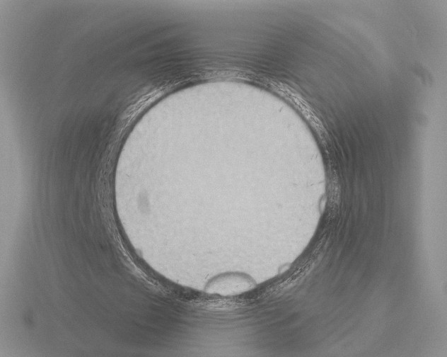 X0000115380433200912151442