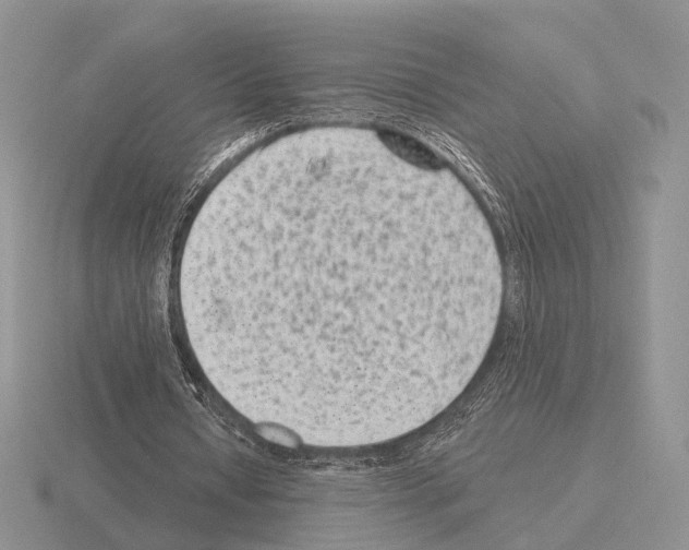 X0000115380434200912151442