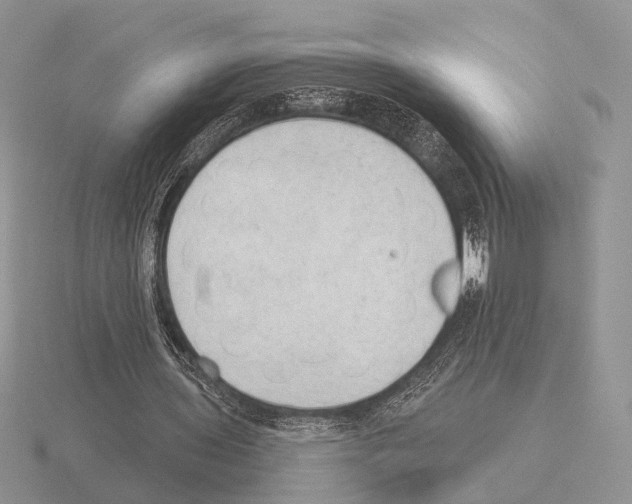 X0000115380435200912151442