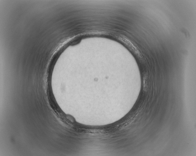 X0000115380436200912151442