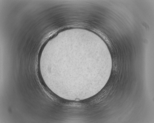 X0000115380437200912151442