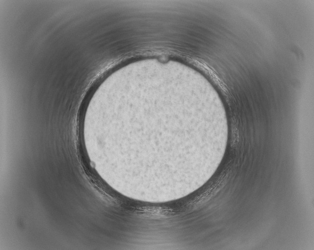 X0000115380439200912151442