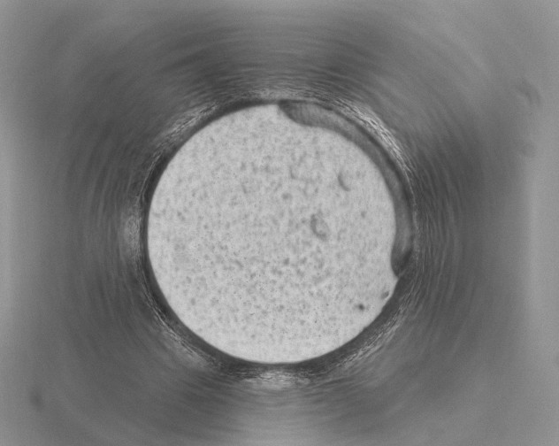 X0000115380441200912151442