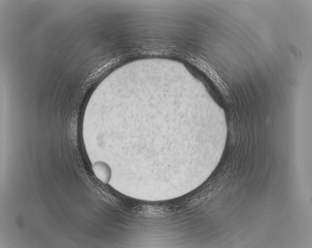 X0000115380442200912151442