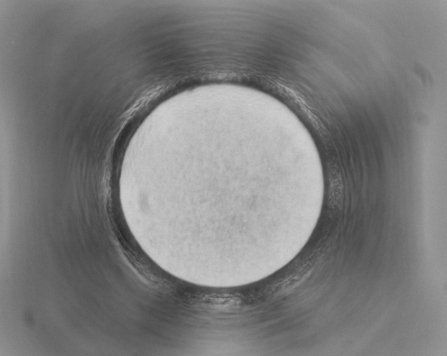 X0000115380443200912151442