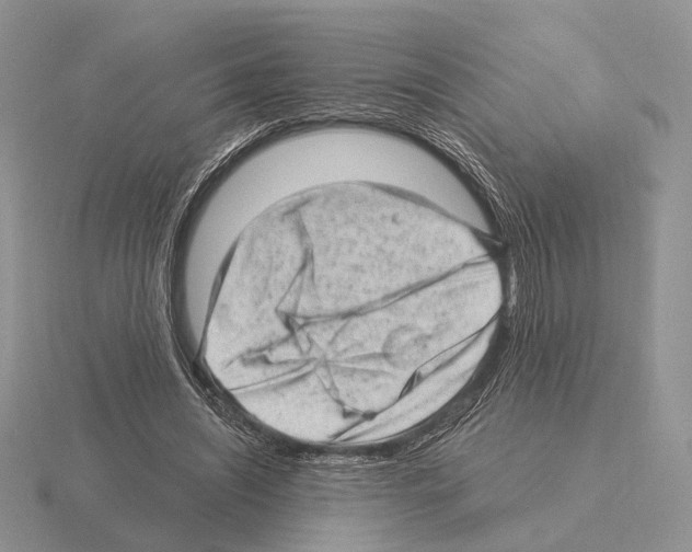 X0000115380444200912151442