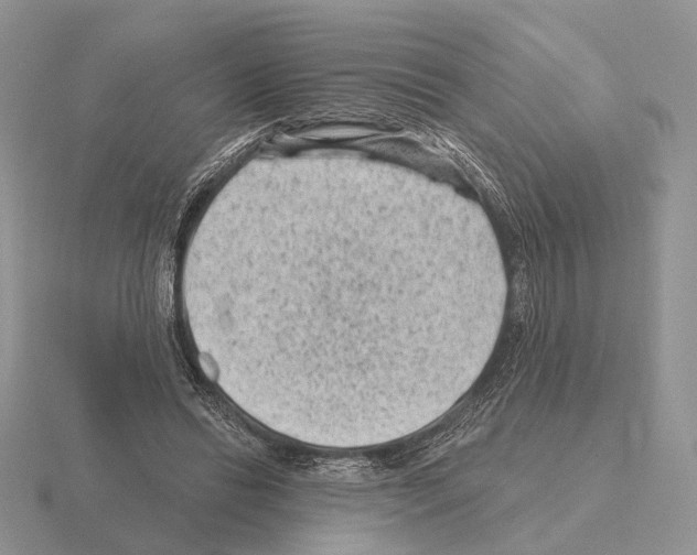 X0000115380446200912151442