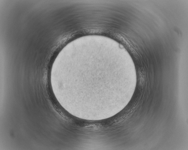 X0000115380447200912151442