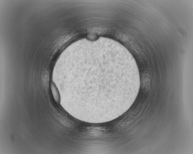 X0000115380448200912151442