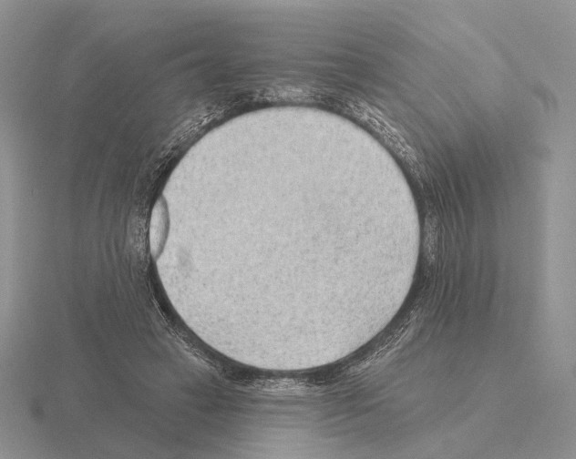 X0000115380449200912151442