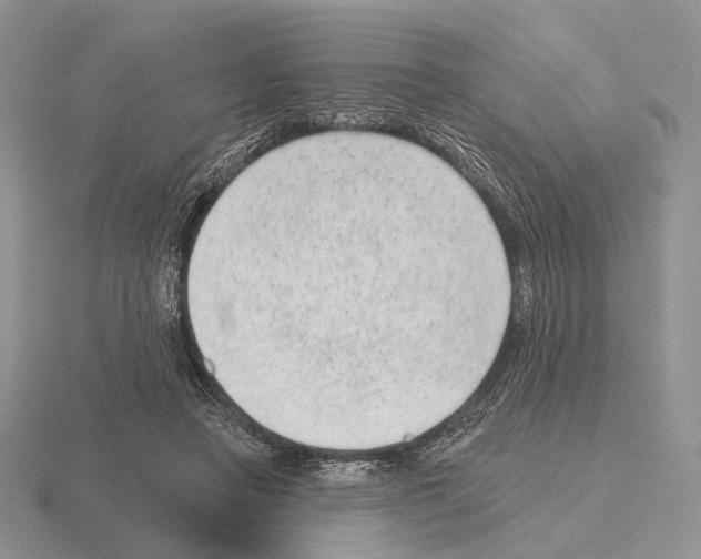 X0000115380450200912151442