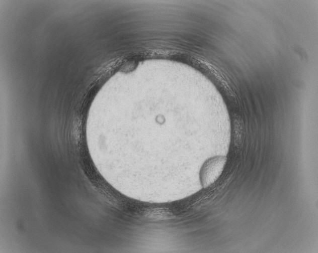 X0000115380451200912151442