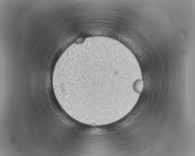 X0000115380453200912151442