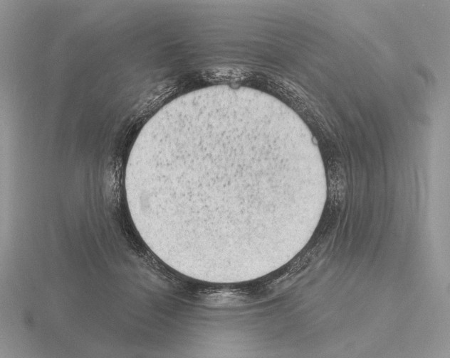 X0000115380460200912151443