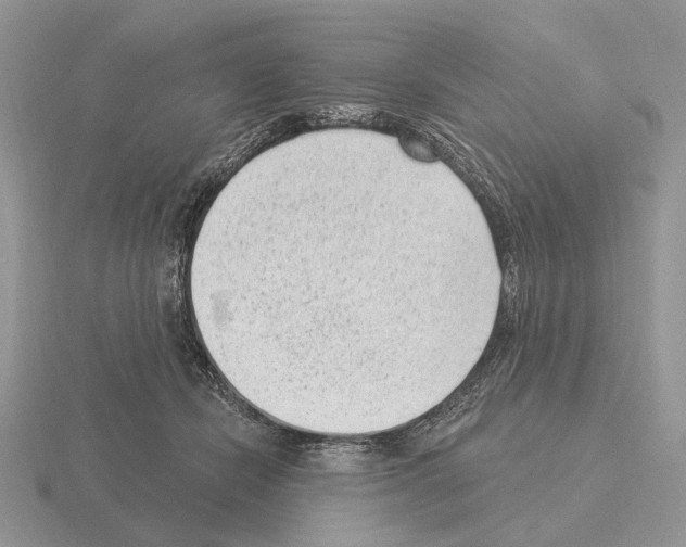 X0000115380462200912151443