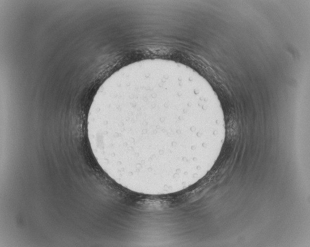 X0000115380464200912151443