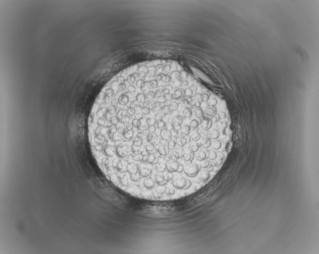 X0000115380466200912151443