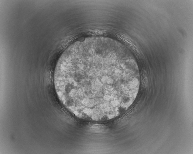 X0000115380467200912151443