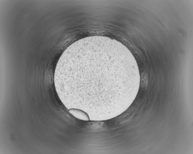 X0000115380474200912151443