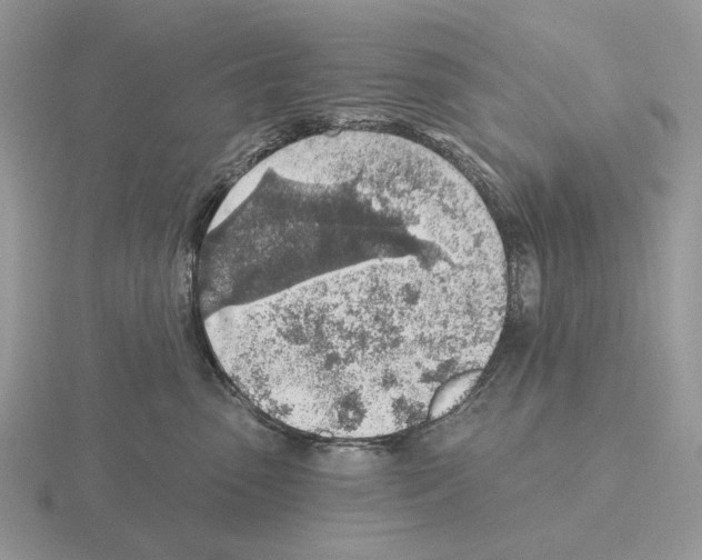 X0000115380475200912151443