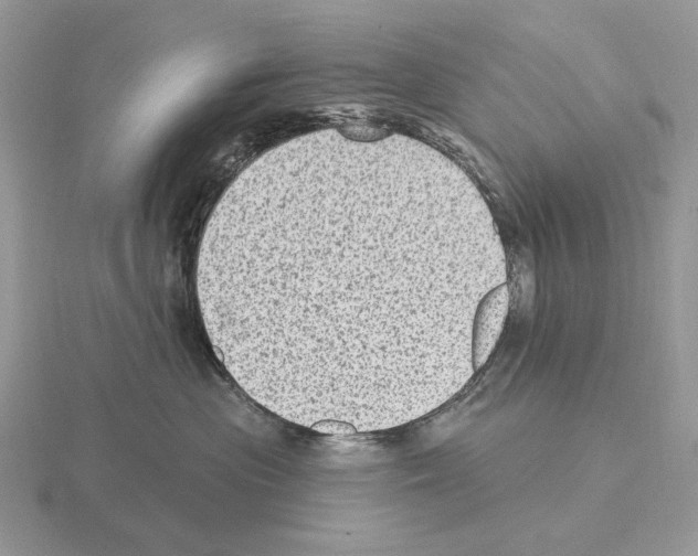 X0000115380477200912151443