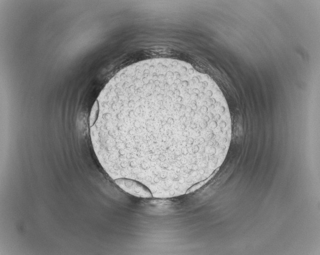 X0000115380478200912151443