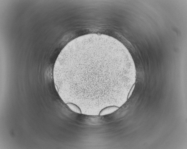 X0000115380479200912151443