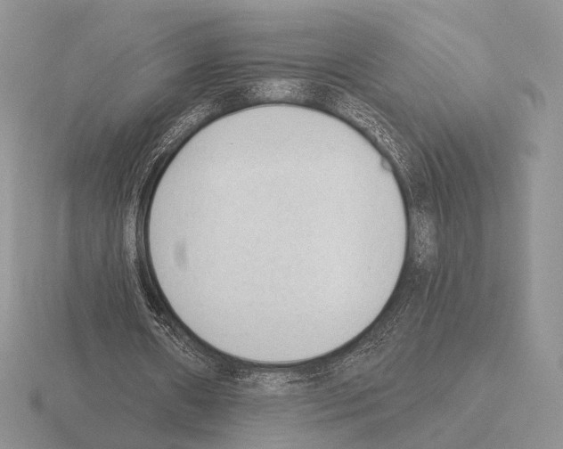 X0000115380482200912151442